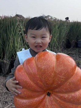 失踪人员：张择胡