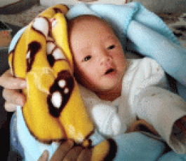 失踪人员：郑维梓琳