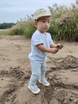 寻亲：曹禹辰